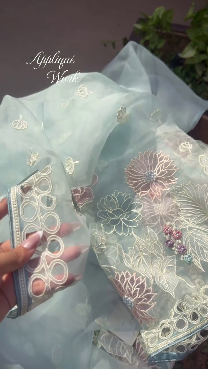 Elegant Sky Blue Organza Saree with Premium Appliqué Embroidery Work