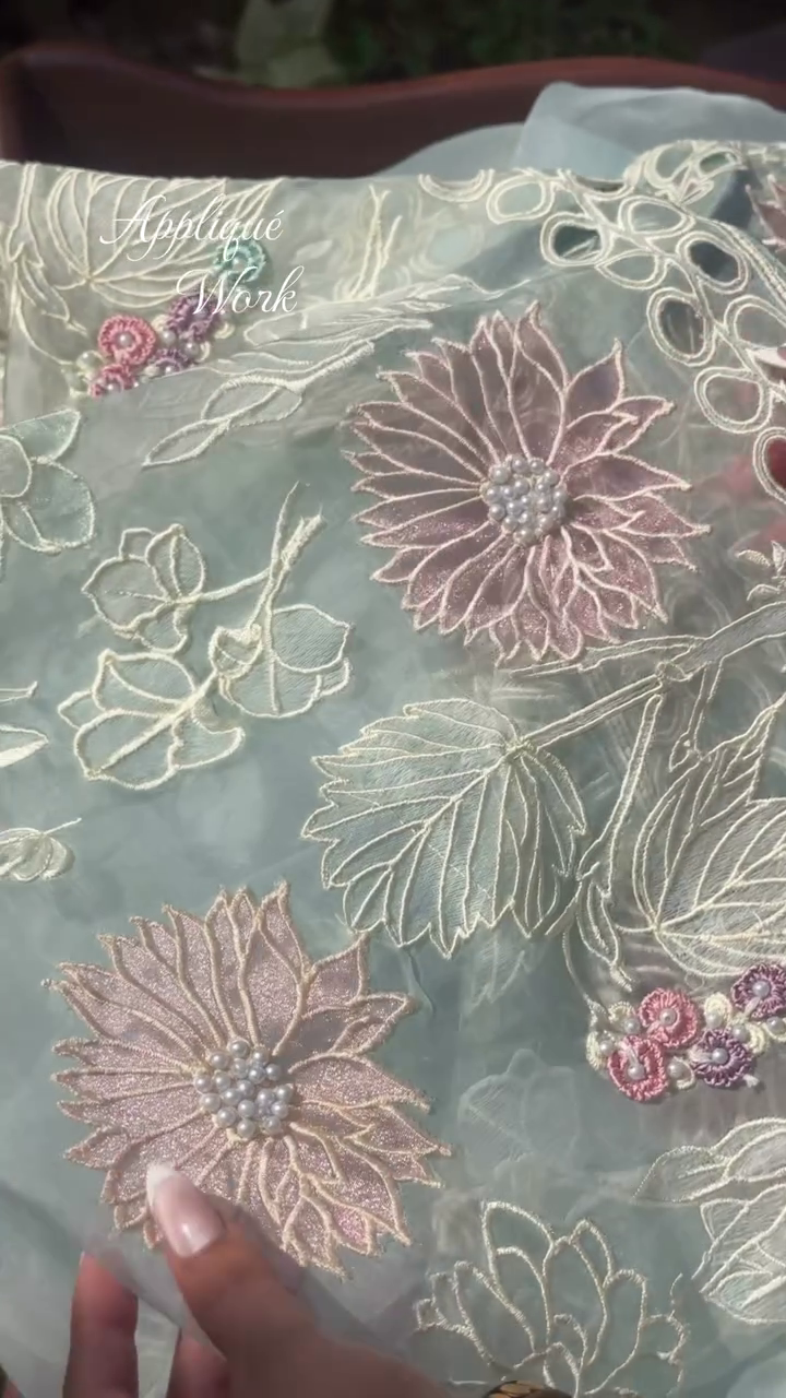 Elegant Sky Blue Organza Saree with Premium Appliqué Embroidery Work