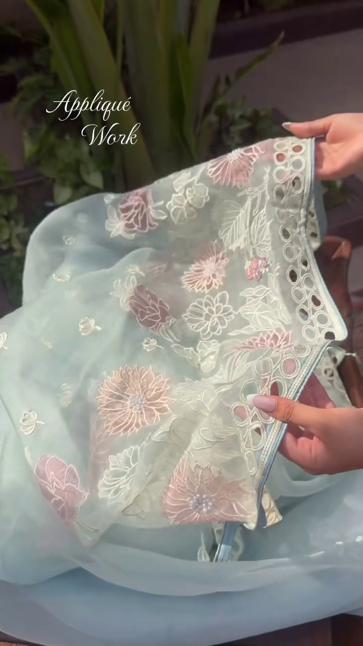Elegant Sky Blue Organza Saree with Premium Appliqué Embroidery Work